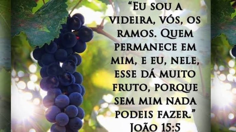 Jo�o 15:5