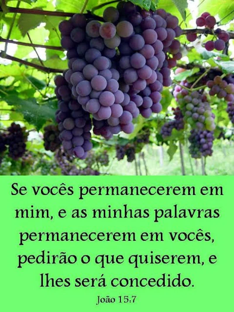 João 15:7