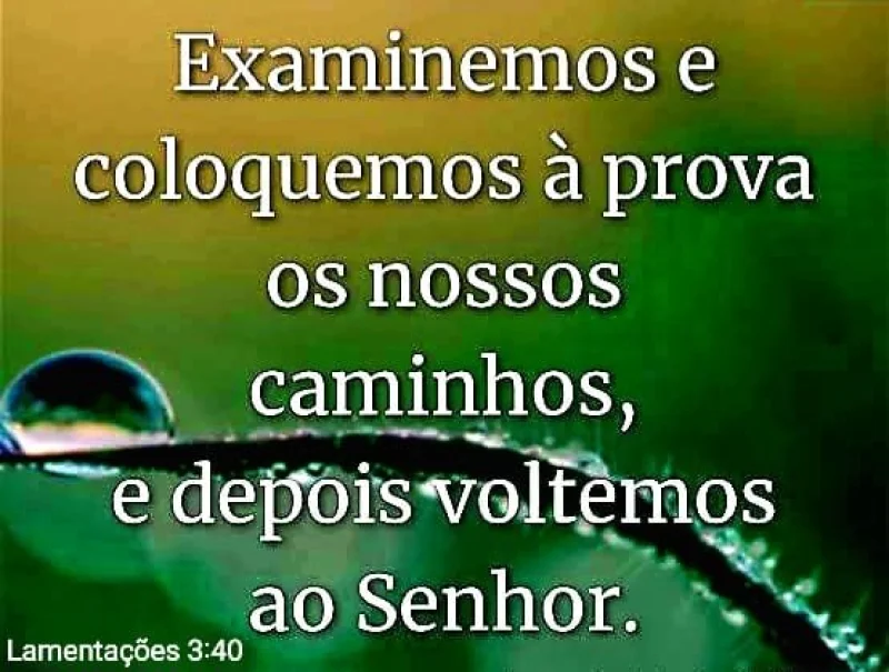 Lamentações 3:40