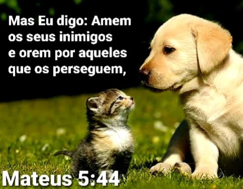 Mateus 5:44
