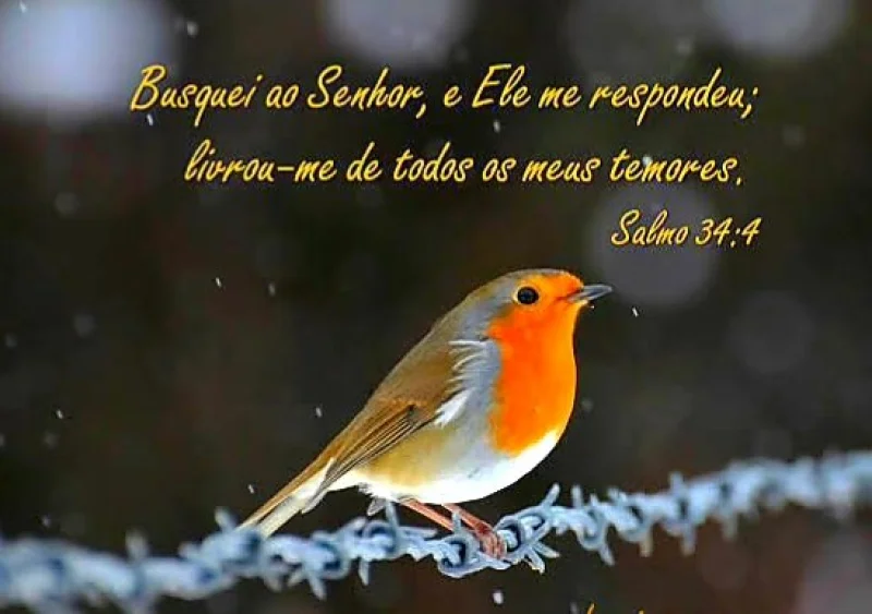 Salmo 34:4