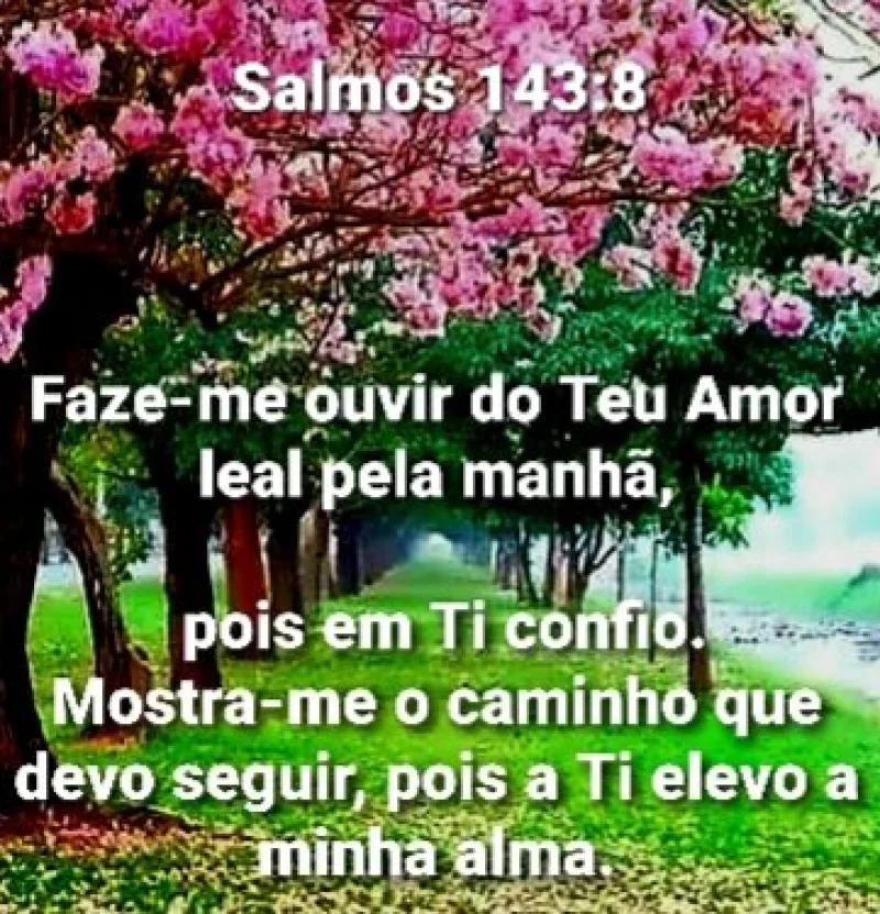 Salmos 1 43:8
