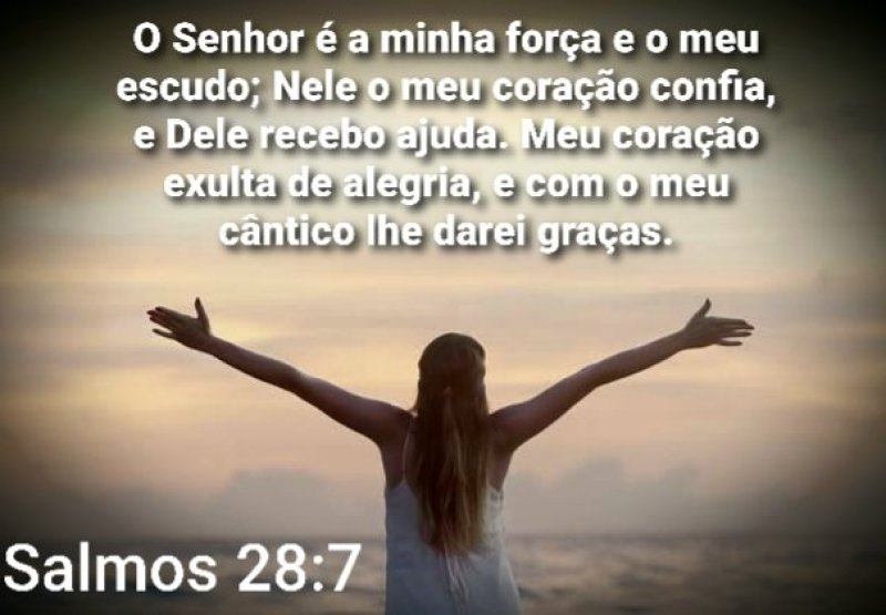 Salmo 28:7