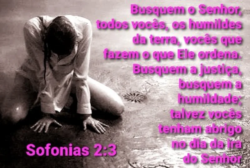 Sofonias 2:3