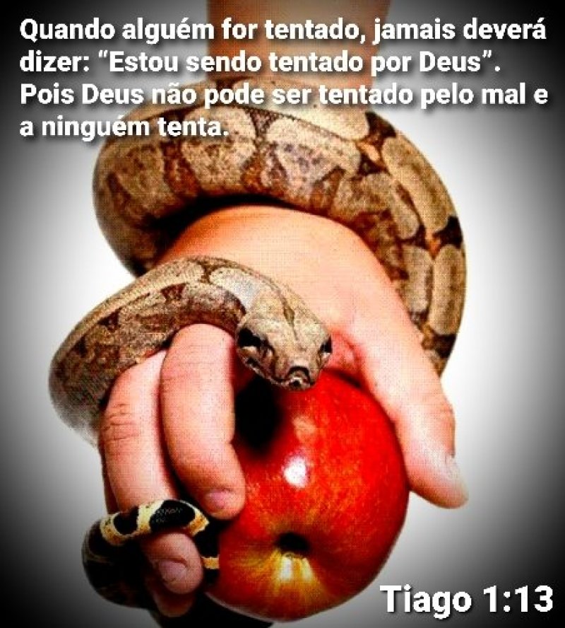 Tiago 1:13