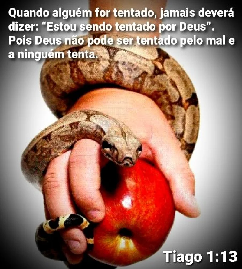 Tiago 1:13