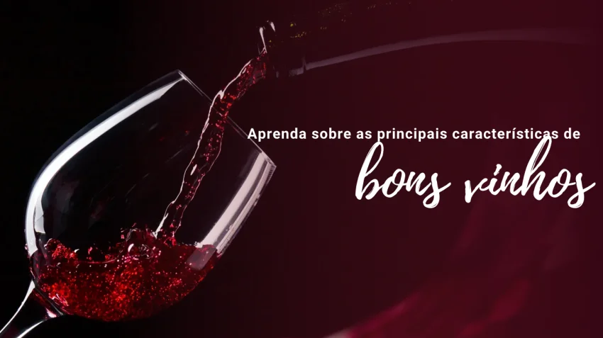 Aprenda sobre as principais caractersticas de um bom vinho