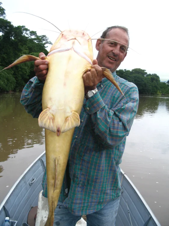 Rio Apa - Anderson e turma Recordistas de pesca ao ja