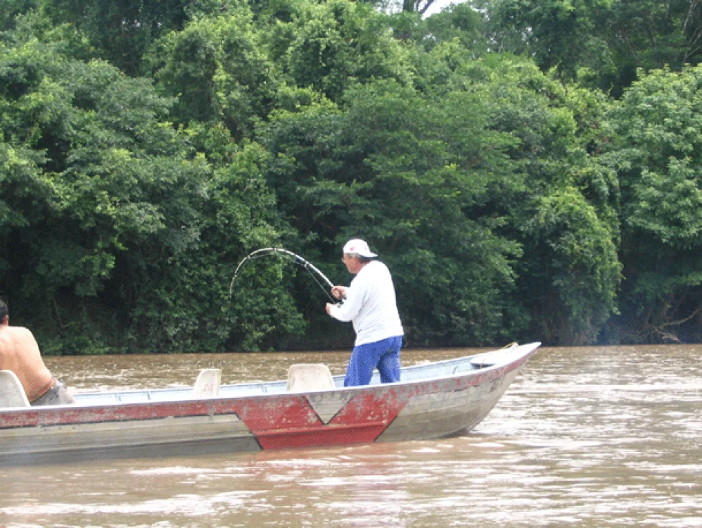 Rio Apa - Anderson e turma Recordistas de pesca ao ja