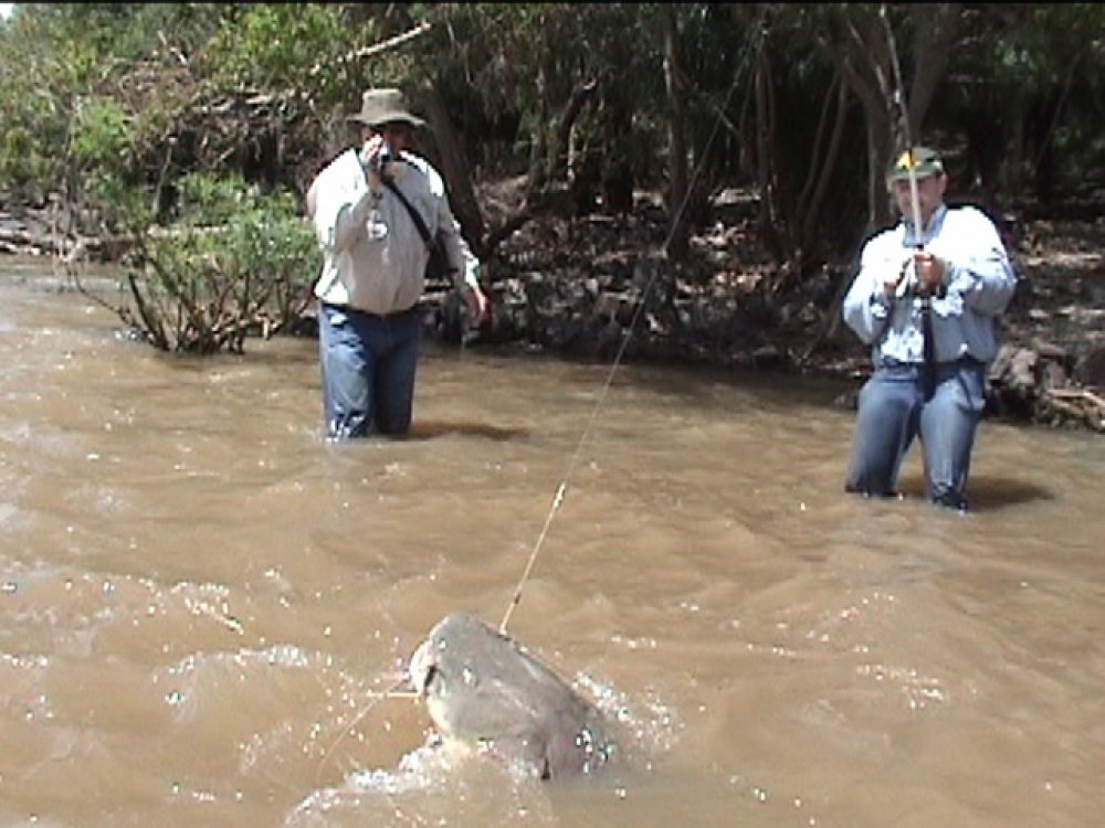 Pesca esportiva com a SMV