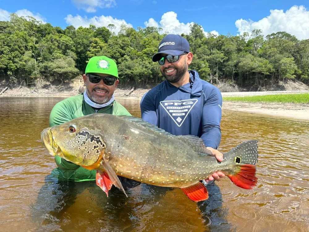Peixes do Apua