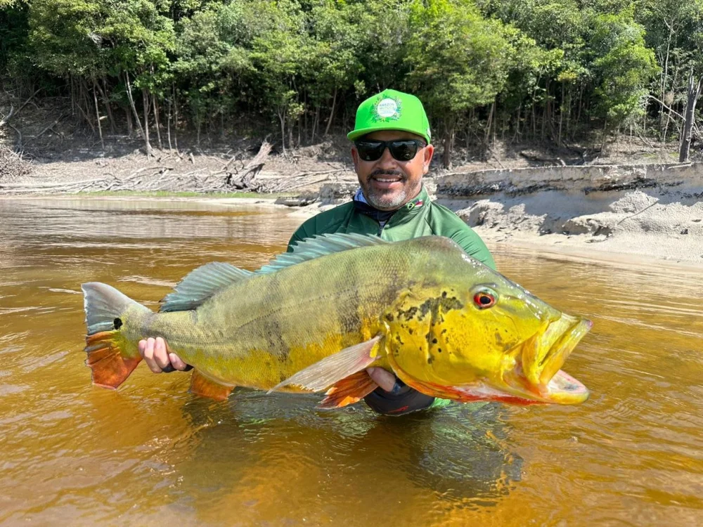 Peixes do Apua