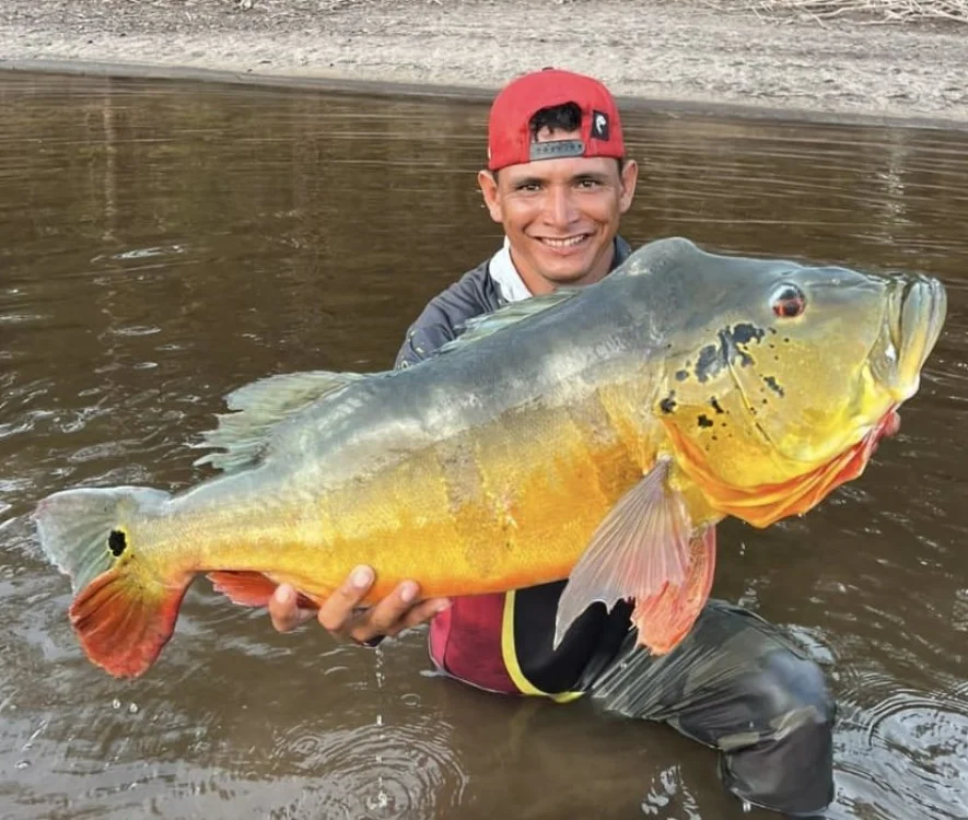 Peixes do Apua