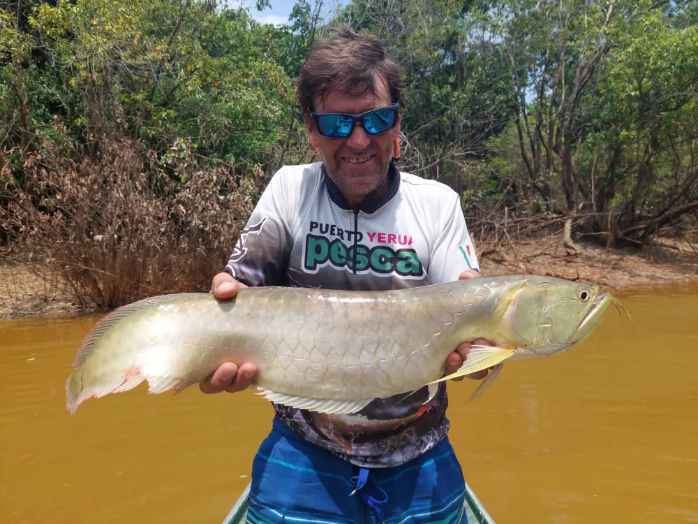 Peixes do Apua