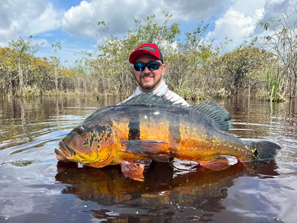 Peixes do Apua