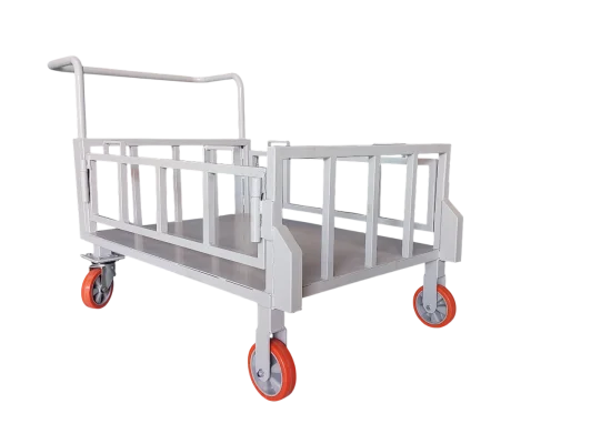 TP-01  CARRINHO PLATAFORMA
