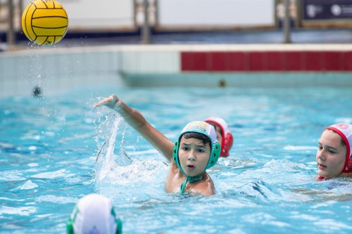 Festival PAB Kids Sub-13 de polo aqu�tico - 6/4/2024