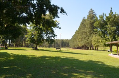 Fotos