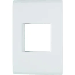 PLACA 4X2 2P JUNTOS LIZ BRANCA