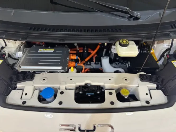 BYD Dolphin Mini 38 KW EL�TRICO GS, Foto 16