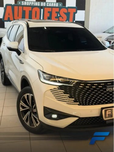 GWM Haval H6 1.5 16V 4P PHEV19 AWD E-TRACTION AUTOM�TICO, Foto 14