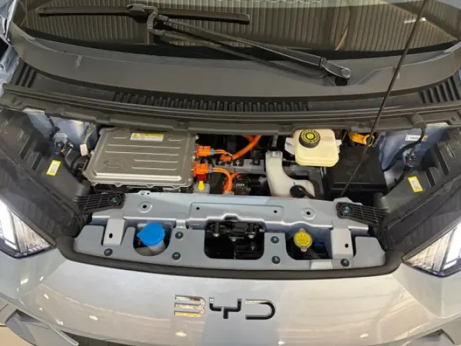 BYD Dolphin Mini 38 KW EL�TRICO GS, Foto 17
