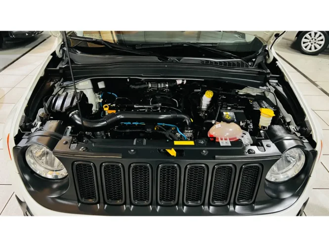 JEEP Renegade 1.8 16V 4P FLEX SPORT AUTOM�TICO, Foto 8