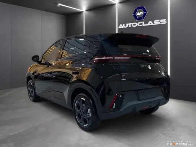 BYD Dolphin Mini 38 KW EL�TRICO GS, Foto 6