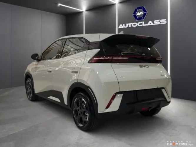 BYD Dolphin Mini 38 KW EL�TRICO GL, Foto 6