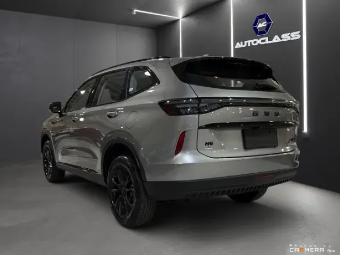 GWM Haval H6 1.5 16V 4P HEV-2 PREMIUM E-TRACTION AUTOM�TICO, Foto 6