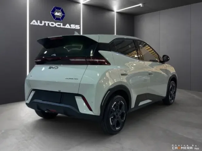 BYD Dolphin Mini 38 KW EL�TRICO GS, Foto 6