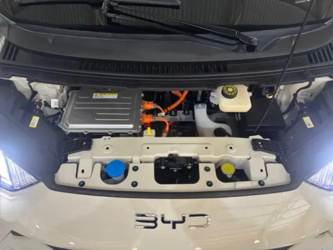 BYD Dolphin Mini 38 KW EL�TRICO GL, Foto 16
