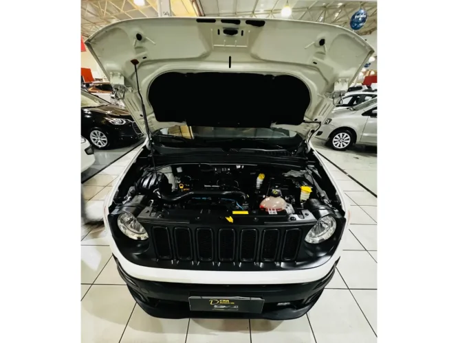 JEEP Renegade 1.8 16V 4P FLEX SPORT AUTOM�TICO, Foto 7