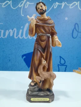 IMAGEM SAO FRANCISCO DE ASSIS 20CM DE ALTURA