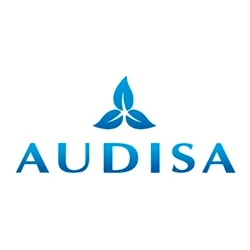 Audisa