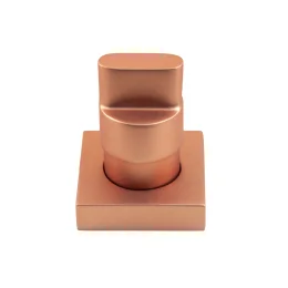 4901 - Acabamento P/registro C/canopla Plena Red Gold Matte