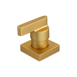 4901 - Acabamento P/registro C/canopla Plena Slim Gold Matte