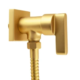 1150 - Ducha Hig.man.c/reg.flex.met.1/4vt Plena Slim Gold Matte