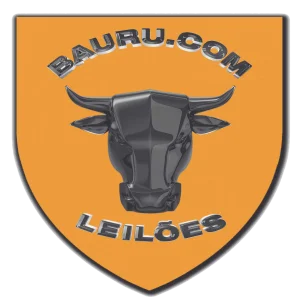 Baurupontocom