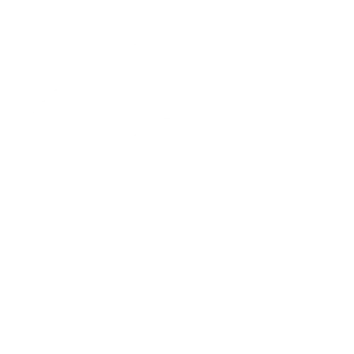 Viso