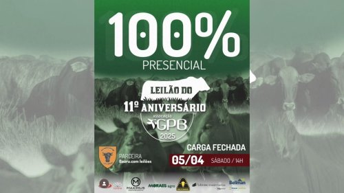 GPB Celebra 11 Anos com Leil�o de Gado de Corte e A��o Beneficente em Bauru