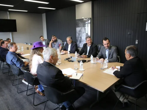 GPB e Cmara Setorial da pecuria salvam os leiles de gado de corte
