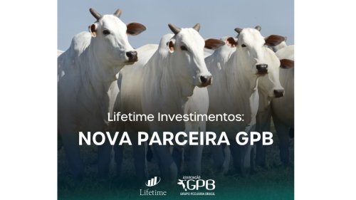 GPB agora tem como parceira a Lifetime