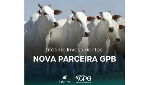 GPB agora tem como parceira a Lifetime