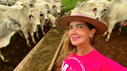 Pecuarista aumentou em seis vezes a taxa de lotao na recria de gado de corte