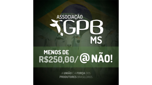 Associa��o GPB luta por melhores pre�os para os pecuaristas