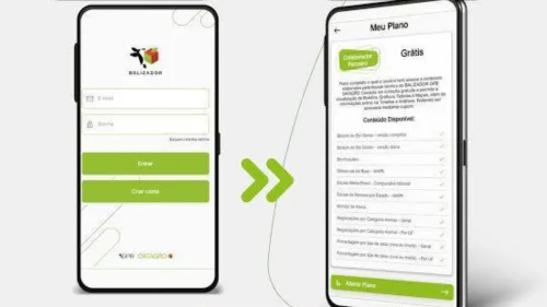 App Balizador GPB DATAGRO completa 100 dias teis em funcionamento