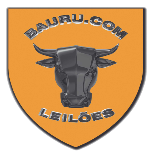 Baurupontocom