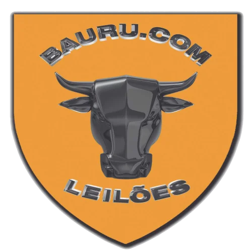 Baurupontocom