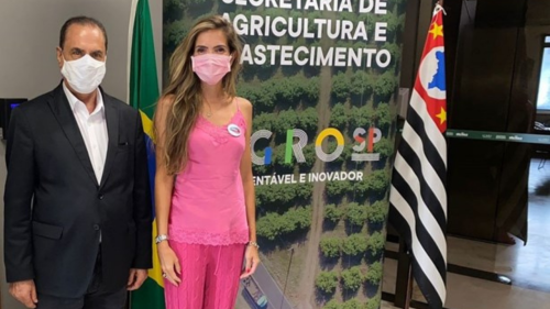 C�mara Setorial da Pecu�ria elege nova presidente